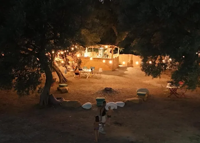 Borsh Olive Camping
